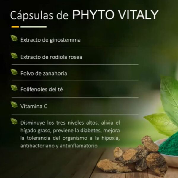 Phyto Vitaly /fito vitalidad capsulas/ - Imagen 4